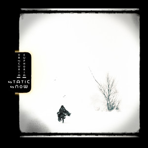 Static Snow