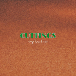 cuttings (trap'd soul mix)