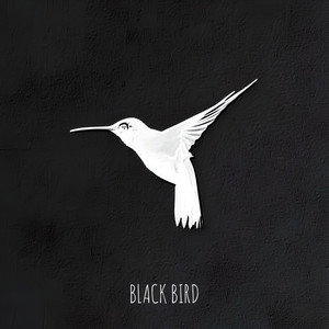 Black Bird