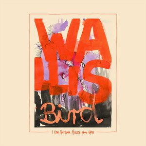 Hold Tight! by Wallis Bird