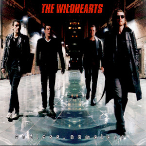 貴重 THE WiLDHEARTS Endless, Nameless Endless, WiLDHEARTS THE 貴重 Nameless