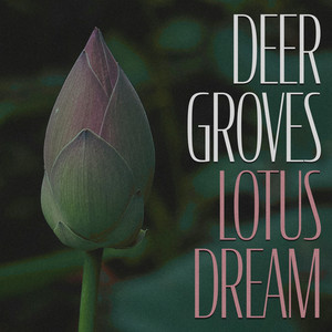 Lotus Dream by Deer Groves Album Cover