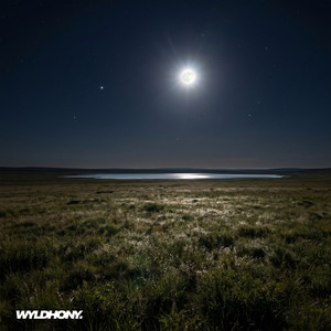 Moonshine by WYLDHONY