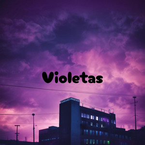 Violetas by BALEX BS