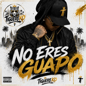NO ERES GUAPO by TIGUEREKO