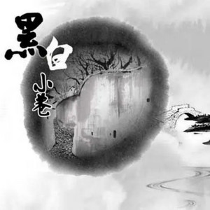 黑白小巷 by 灰原穷, 少司命