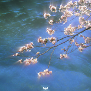 her irreplaceable allure by réwqu