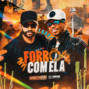 Forró Com Ela by Hamilton Lelo, Robinho Estilizado