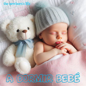 A DORMIR BEBÉ by the newborn's life