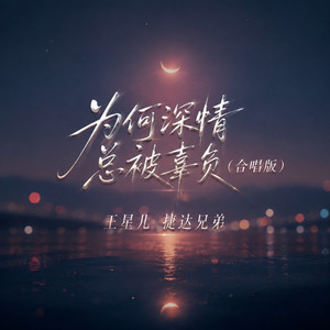 为何深情总被辜负 - 合唱版 by 王星儿, 捷达兄弟