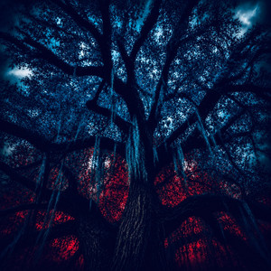 SLIPPING AWAY by Trey Warner