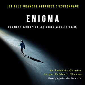 Enigma, comment décrypter les codes secrets nazis (Les plus grandes affaires d'espionnage)