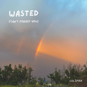 WASTED (CAN'T FORGET YOU) by Col3man