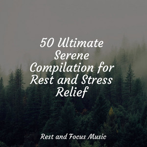 50 Ultimate Serene Compilation for Rest and Stress Relief album