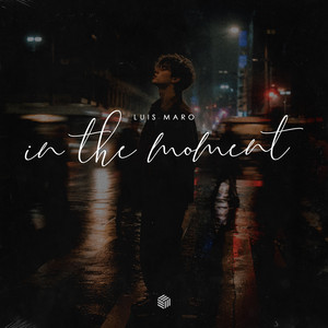 In the Moment by Luis Maro