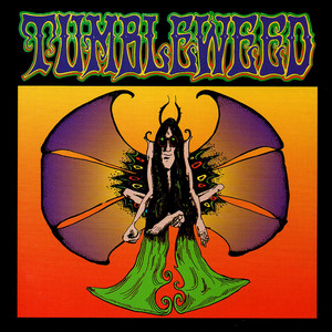 Shakedown by Tumbleweed