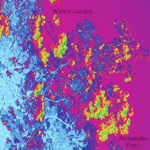Winter Garden by Alessandro Pinto