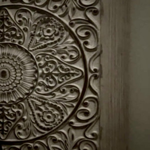 we dont just fall out of the sky