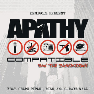 Portada de Compatible (Instrumental)