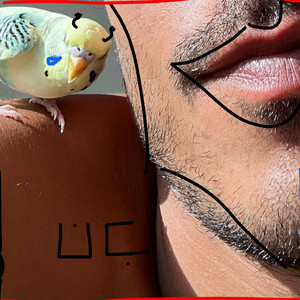 ÜÇ