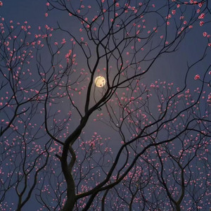 Yuzong Vittaloca - 过火