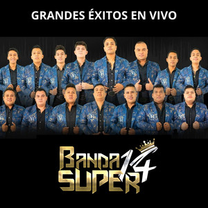 Grandes Éxitos (En Vivo)