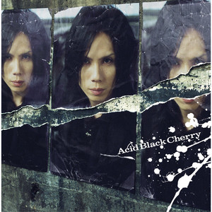 Black Cherry Black Acid Cherry/Acid 5th…