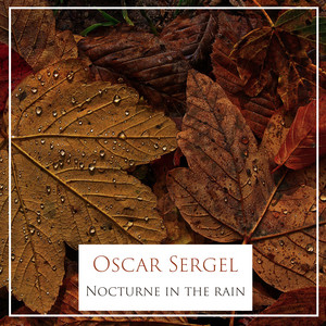 Nocturne in the rain by Oscar Sergel