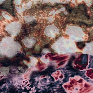 Coming up for Air by Serenity Complex, Aika Mal