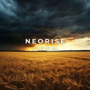 Open by Neorise