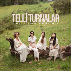 Yayla Yollarında Yürüyüp Gelir by Telli Turnalar