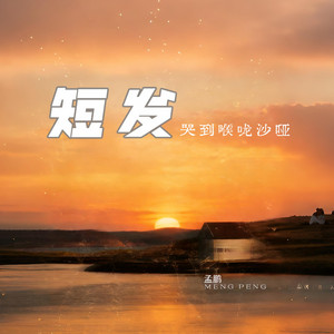 短发 (R&B)完整版 by 张晓宏