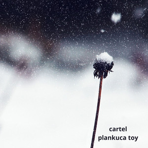 Cartel by plankuca toy