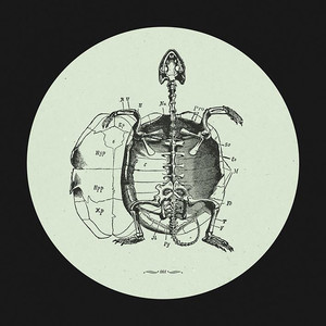 Stefano Testa cover