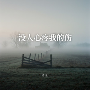 没人心疼我的伤（烟嗓版） by 杨承