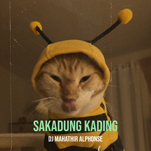 SAKADUNG KADING - Instrumental by DJ Mahathir Alphonse