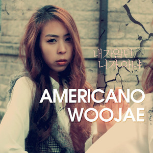 내가 알던 니가 아냐 - Instrumental by Woo Jae, Americano