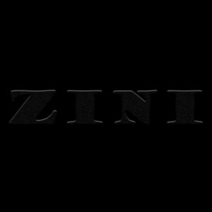 Zini dans la fête by Sobek Le Zini, Moz Savage 667