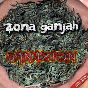Sanazion cover