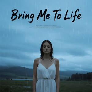 Metal Universe - Bring Me To Life (Rock Metal)