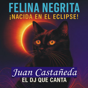 Felina Negrita