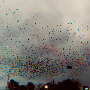 Something Like October by Chandler Rogers