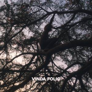 თუ ასე ტურფა იყავი by Vinda Folio