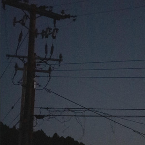 I Don't Want To Like You by Forest Slater