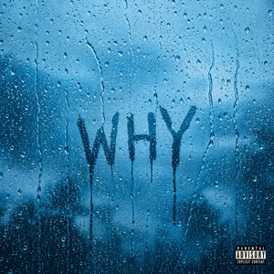 WHY by Relmy