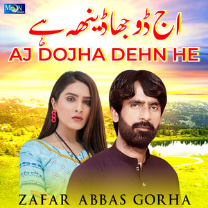 Zafar Abbas Gorha - Lutere