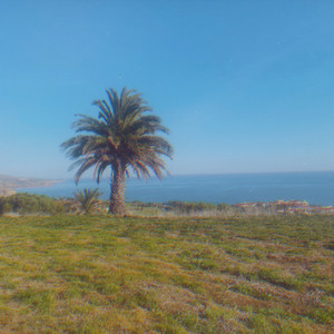 Oceanfront by Quiet Point