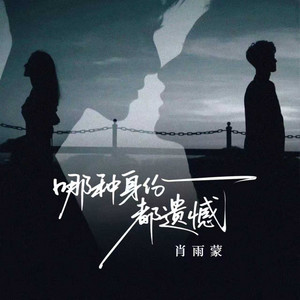 哪种身份都遗憾 - Dj蓝小龙版 by 肖雨蒙, 蓝小龙