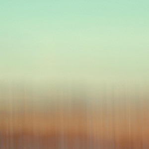 When the Hummingbird Stops Variation Two by Mathieu Karsenti, Helena Maria Falk