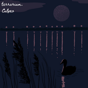 Night Birds — cover art by Terrahsphere